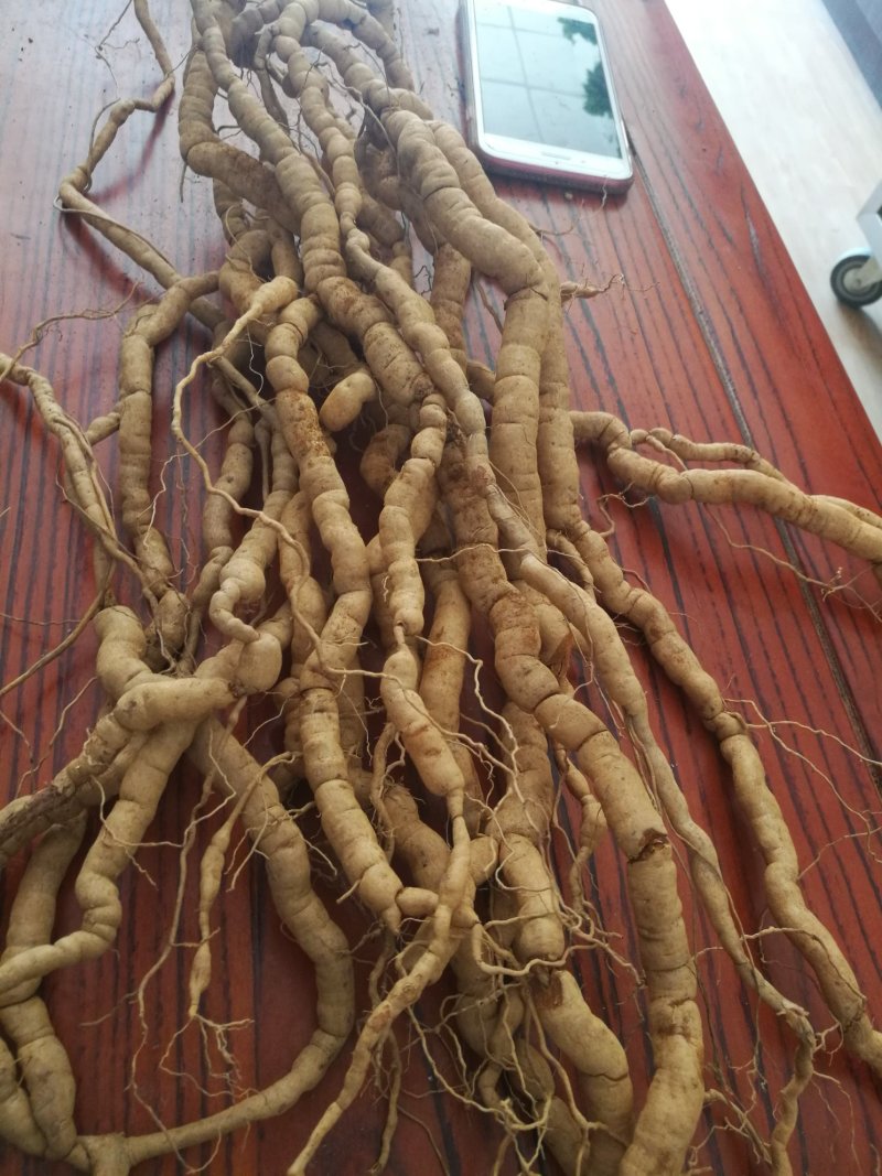巴戟天批发，产地一手货源