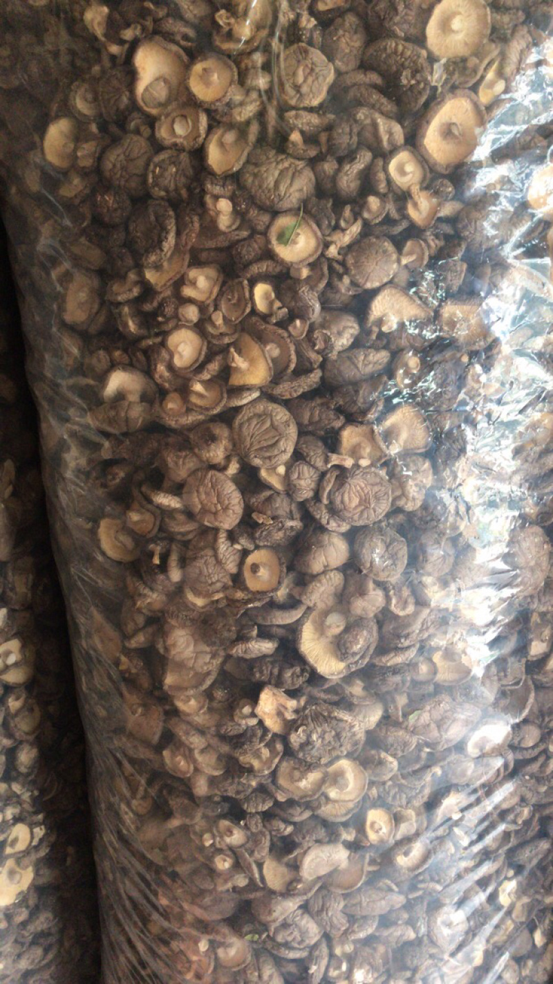 食用菌干货