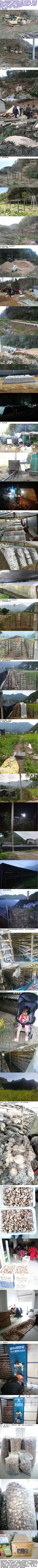 食用菌干货
