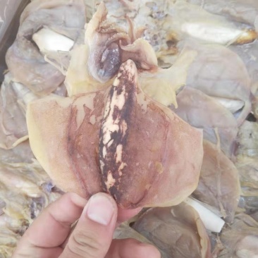 批发墨鱼干（巨鲸水产出品）
