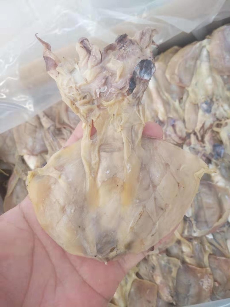 批发墨鱼干（巨鲸水产出品）