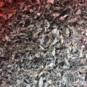 溪黄茶【包邮】三斤起发货可批量可零售量大从优