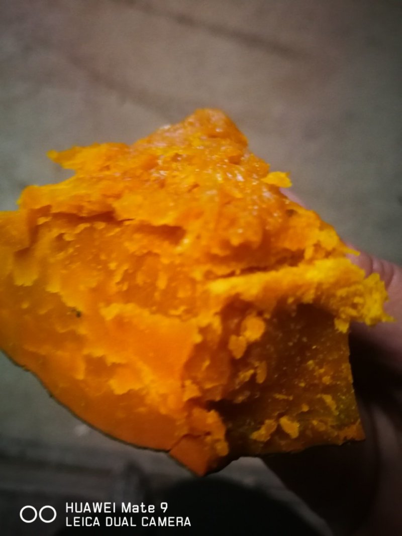 宝栗老南瓜