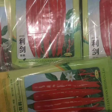 批发美人椒，海花红辣椒种子
