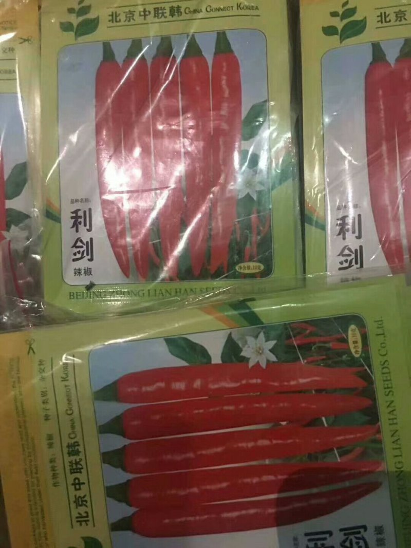 批发美人椒，海花红辣椒种子