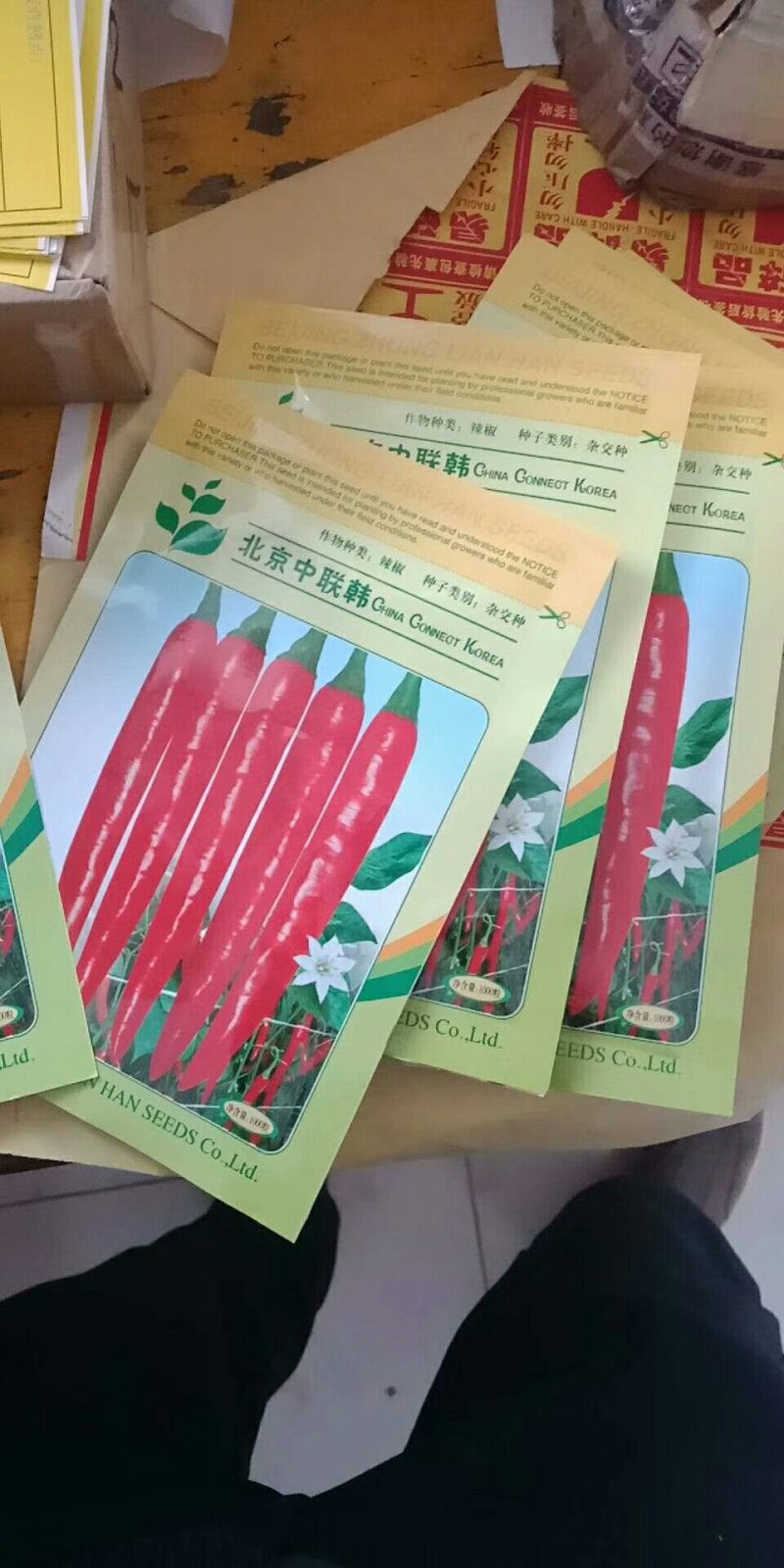 批发美人椒，海花红辣椒种子