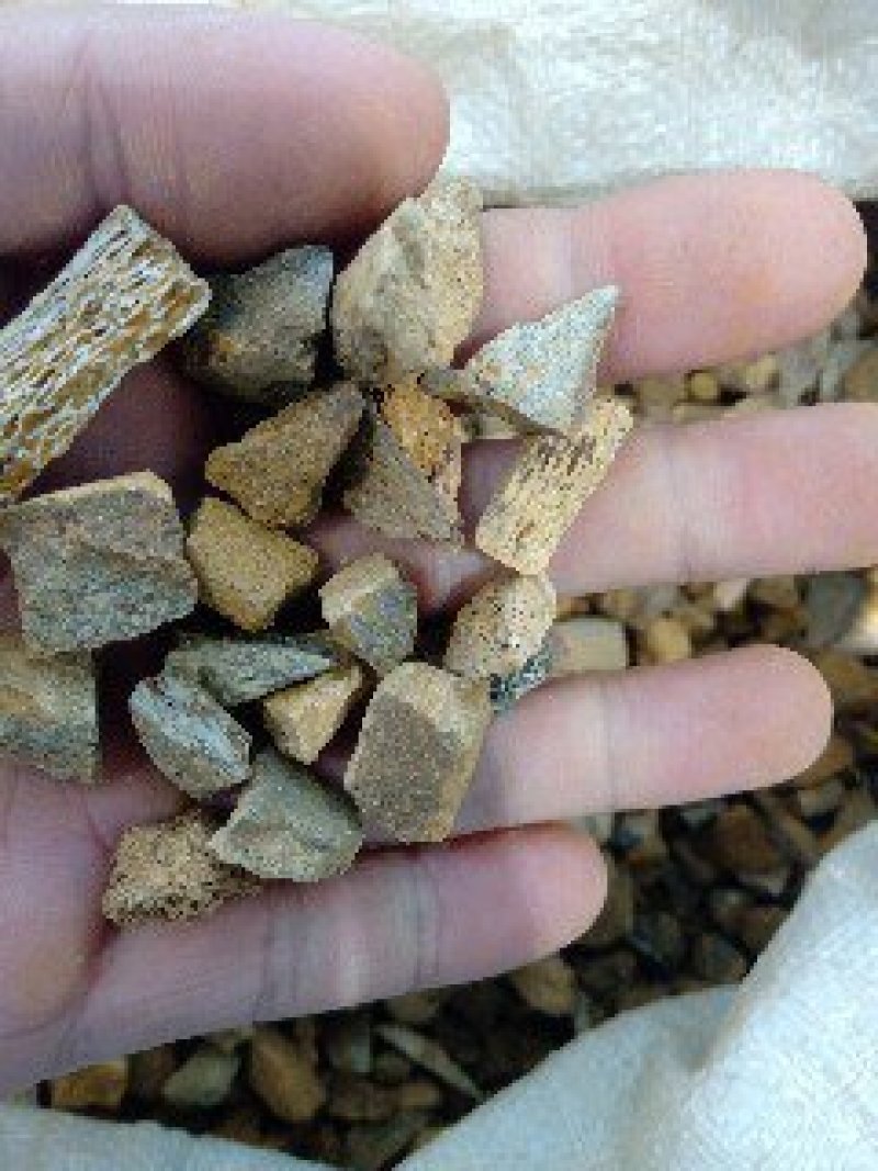 龙骨1公斤起批不包邮量大电议欢迎咨询各种中药材