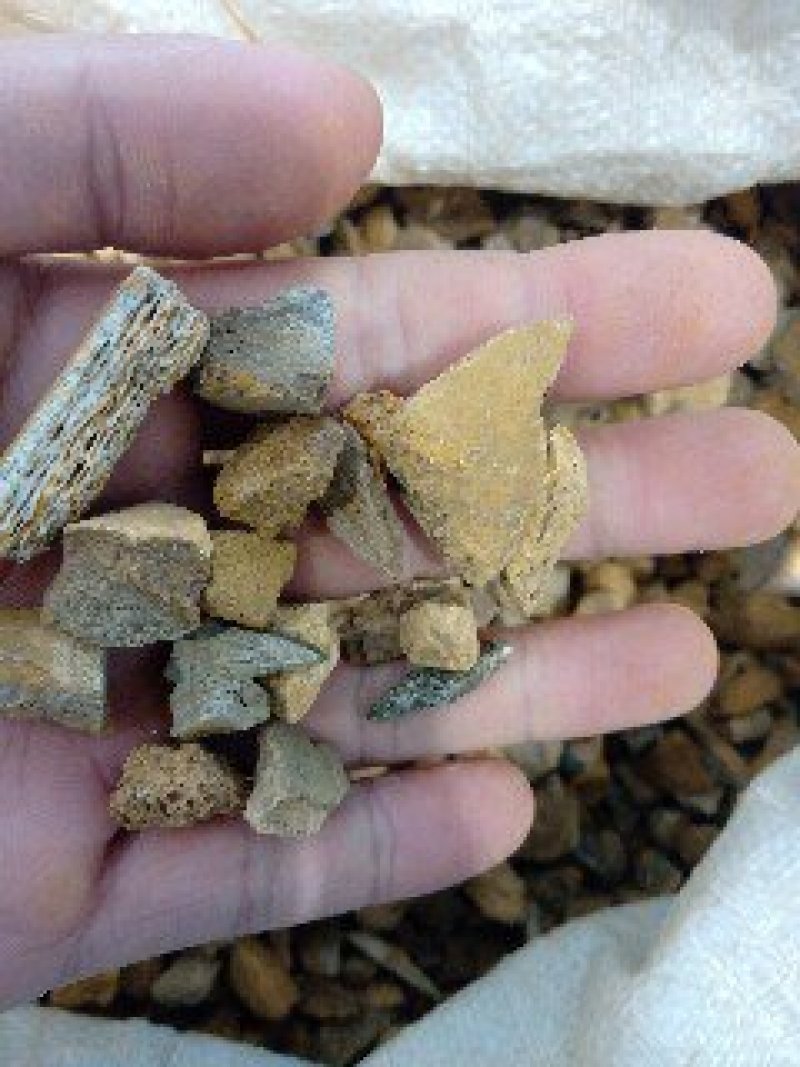龙骨1公斤起批不包邮量大电议欢迎咨询各种中药材