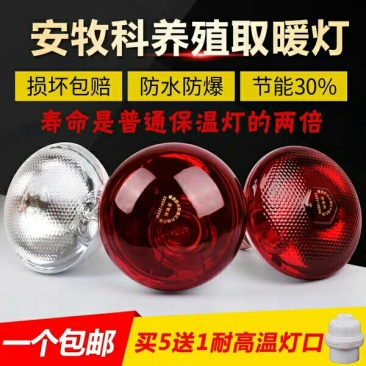 加厚畜牧保温灯泡防水防爆红外线仔猪灯泡养殖取暖灯泡兽