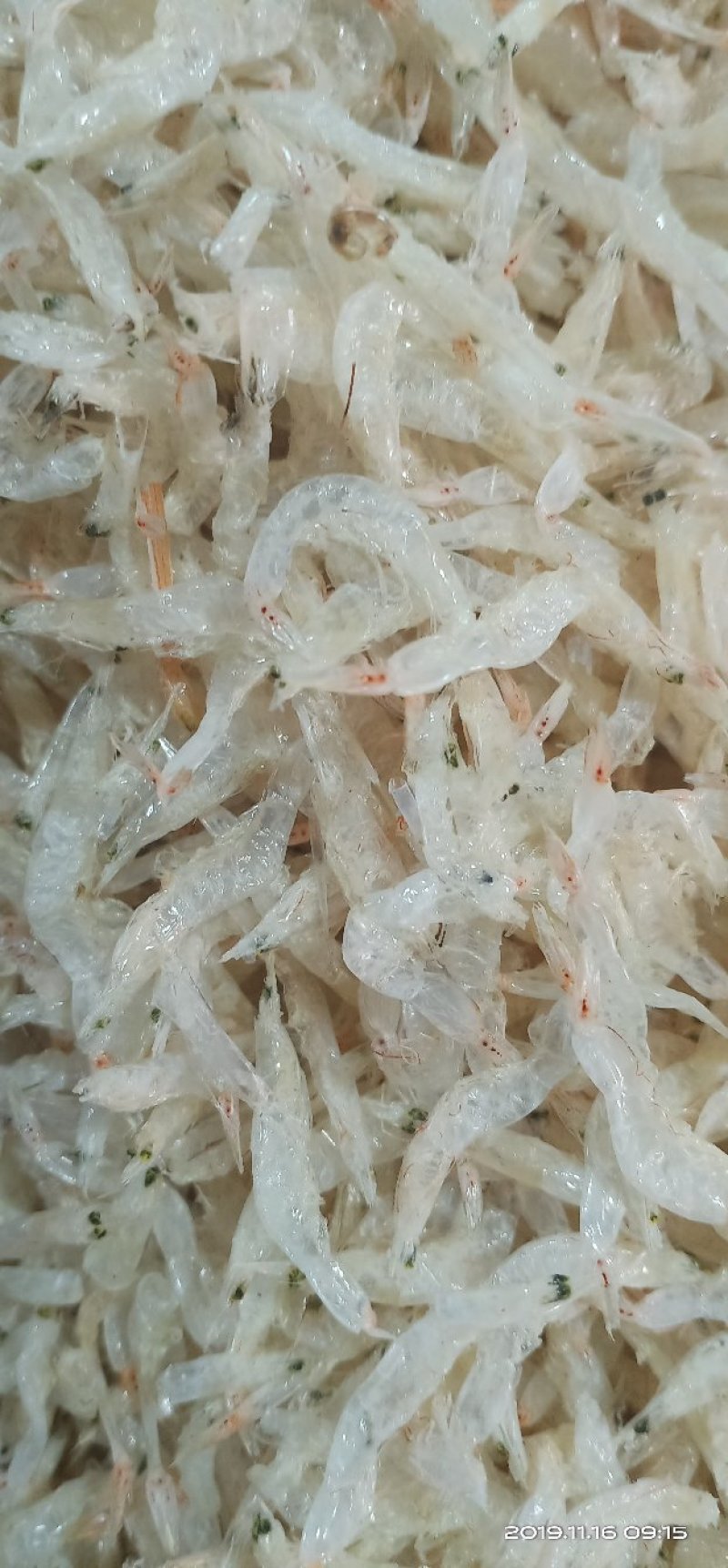 生虾皮