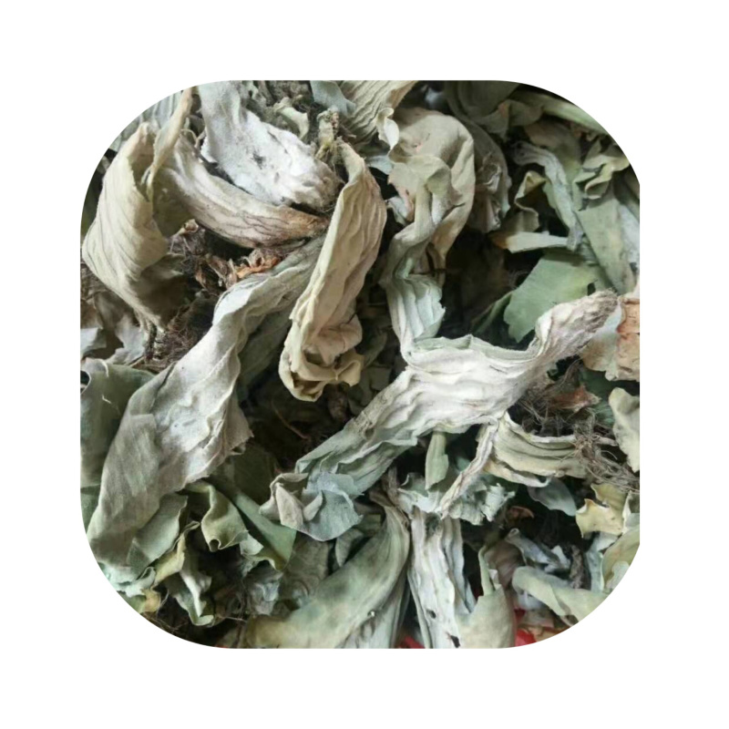 浮萍【包邮】三斤起发货可批量可零售量大从优
