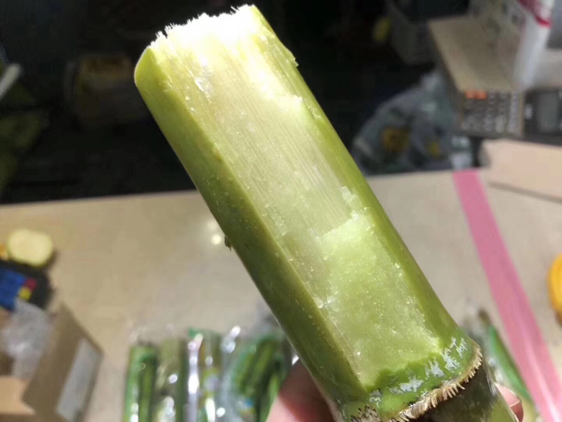 陶山甘蔗皮薄质脆渣松而软汁多味甜
