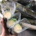 陶山甘蔗皮薄质脆渣松而软汁多味甜