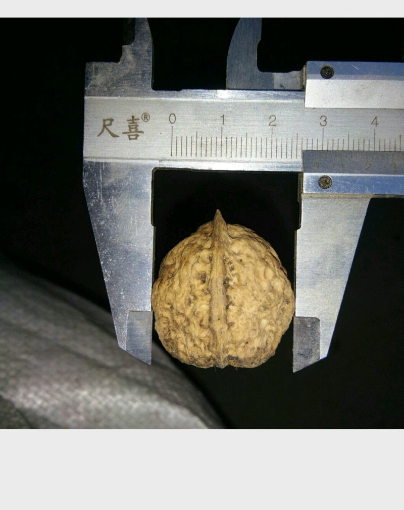 文玩核桃铁核桃三棱四棱