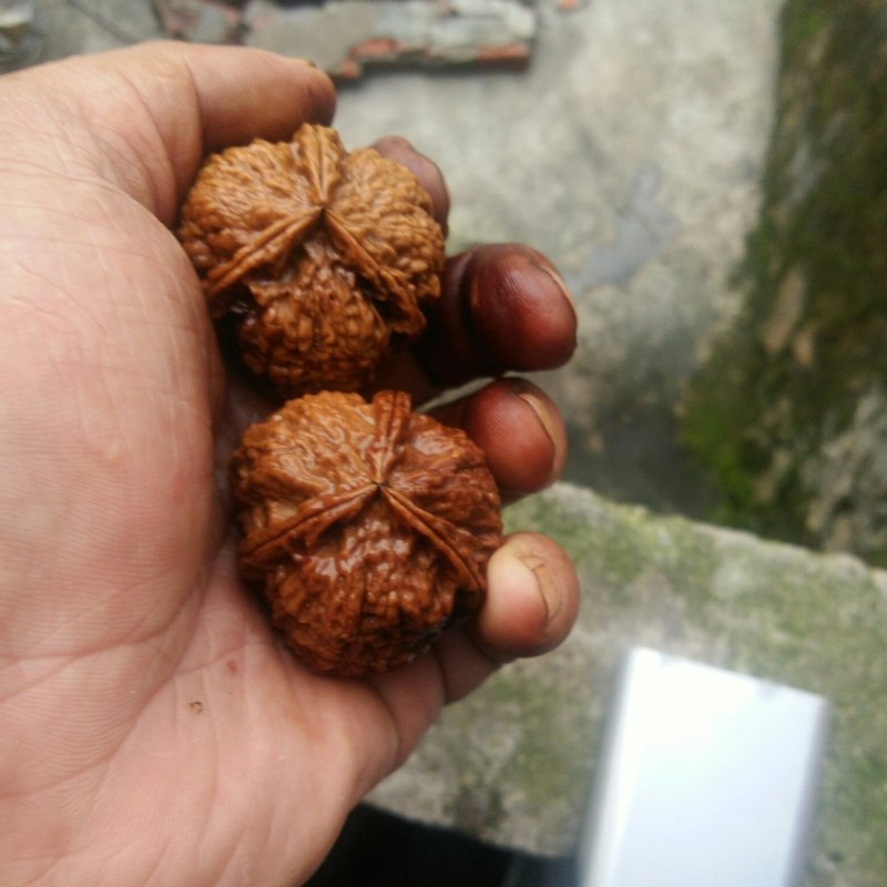 文玩核桃铁核桃三棱四棱