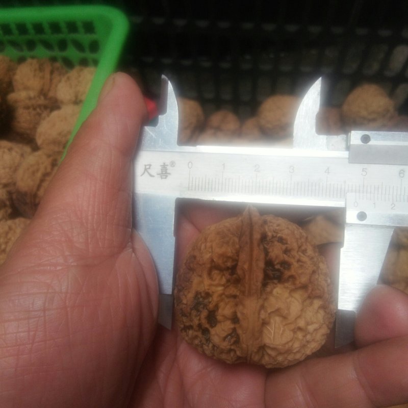 文玩核桃铁核桃三棱四棱