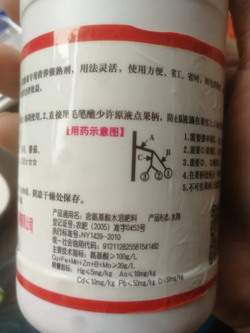 甜如蜜一点红，番茄专用一点红西红柿