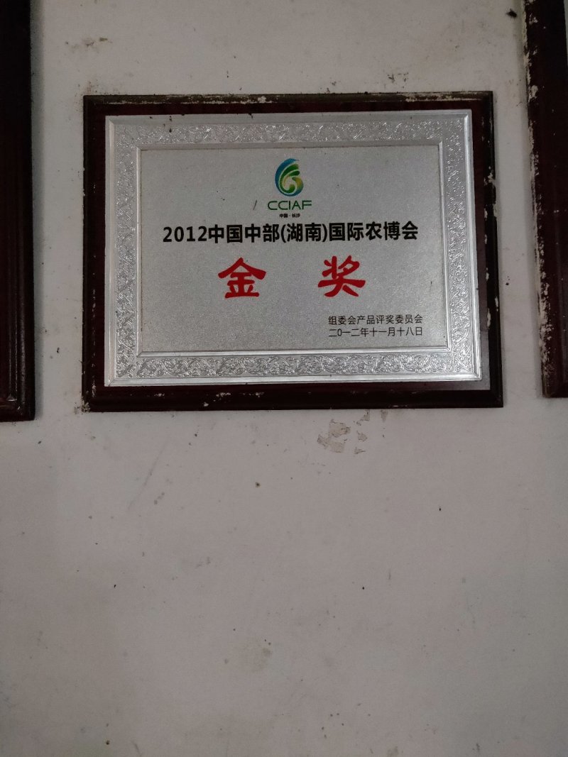 柚子苗安江早香柚苗金奖产品效益好