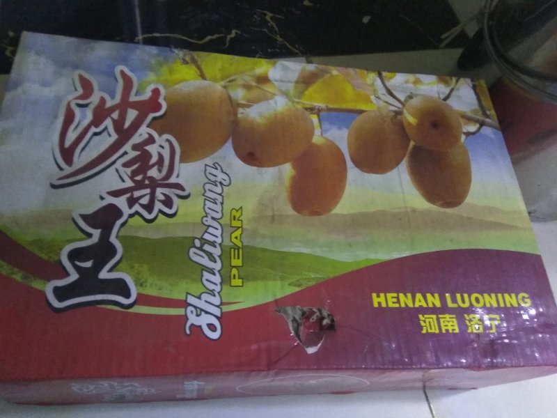 洛阳市洛宁县沙梨王