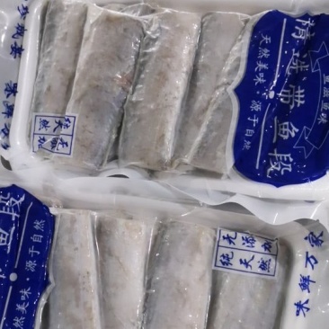 带鱼段带鱼刀鱼
