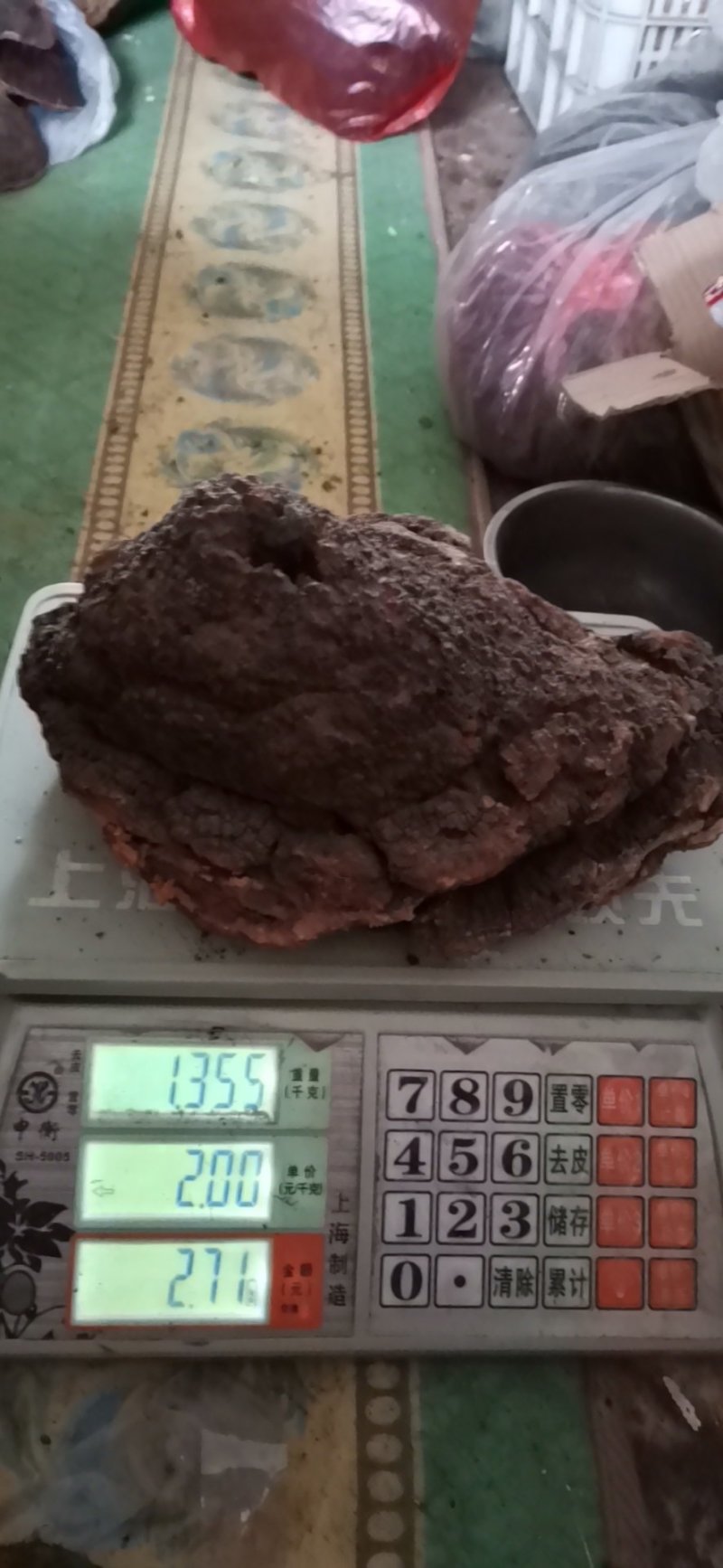长白山野生大块桦树桑黄桦褶孔菌桦树茸
