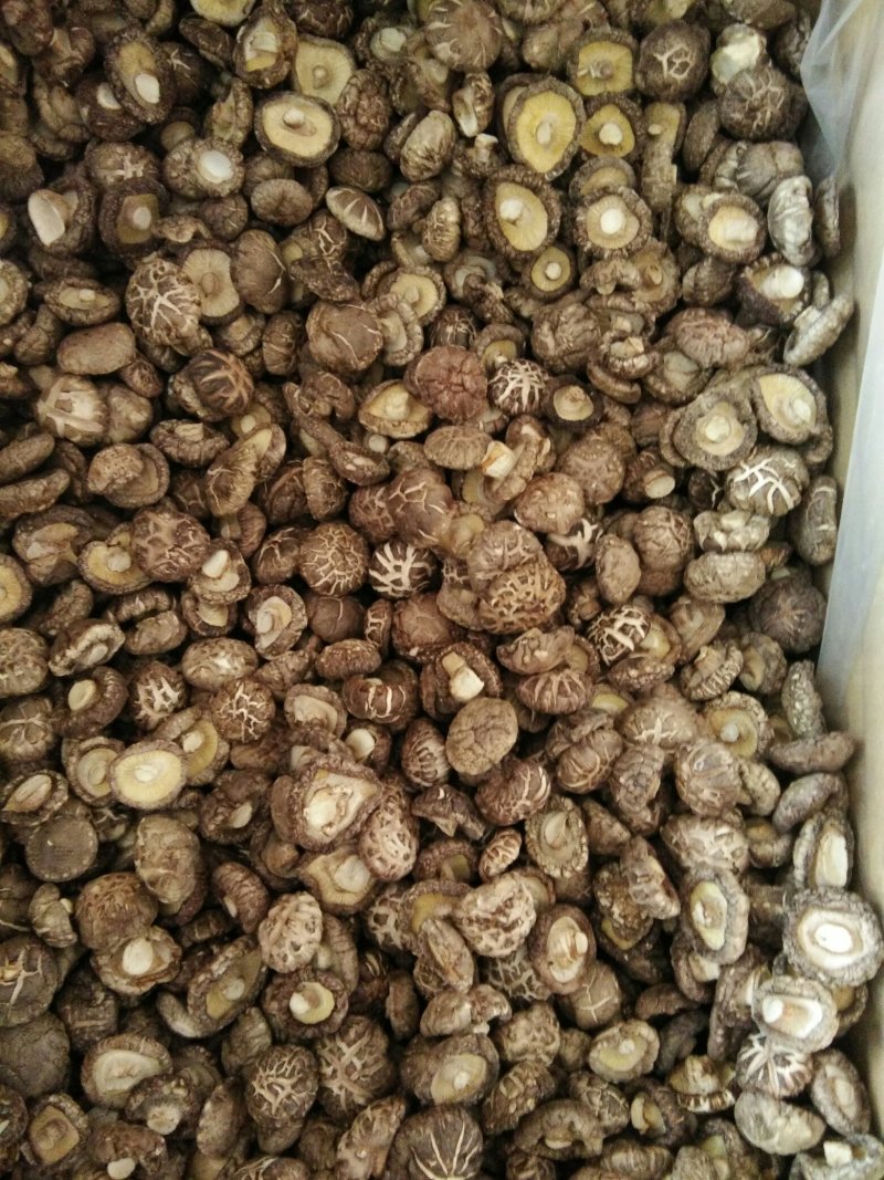 河南内乡花菇，茶花菇，干货农户自种，烘干型，香味扑鼻