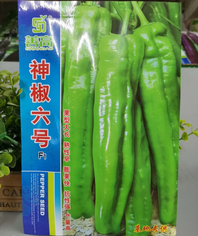【神椒六号】杂交辣椒种子薄皮椒种子虎皮椒种子青椒菜椒泡椒