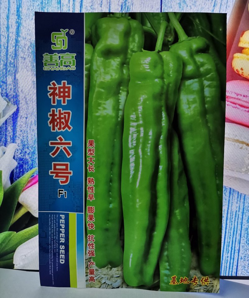 【神椒六号】杂交辣椒种子薄皮椒种子虎皮椒种子青椒菜椒泡椒