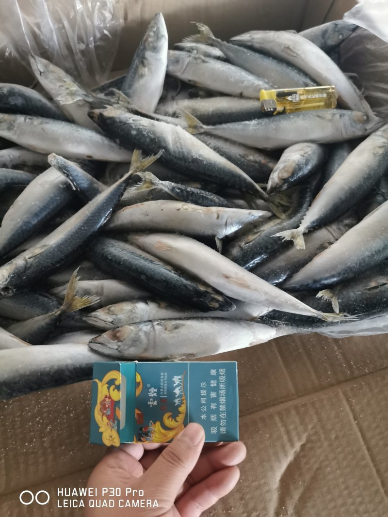 各种罐头料！食用鱼全部有货！
