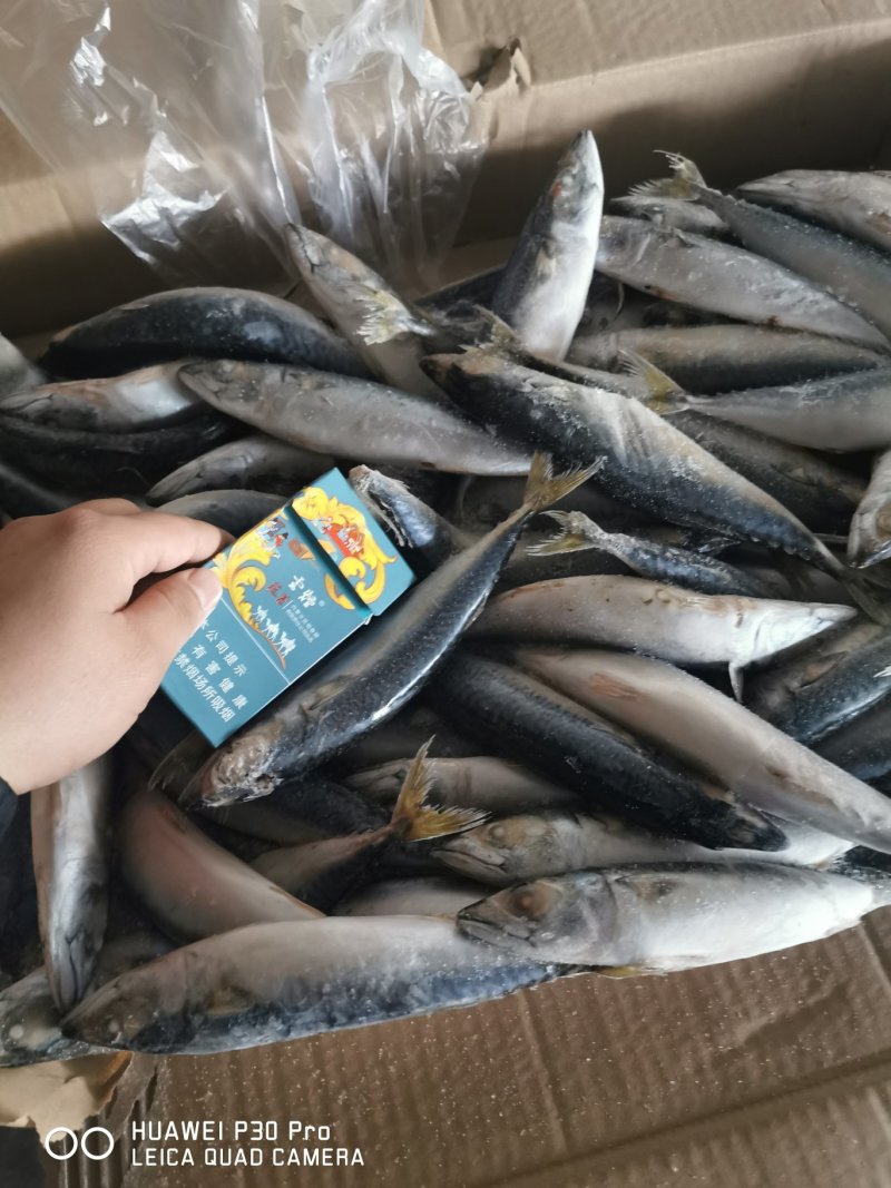 各种罐头料！食用鱼全部有货！