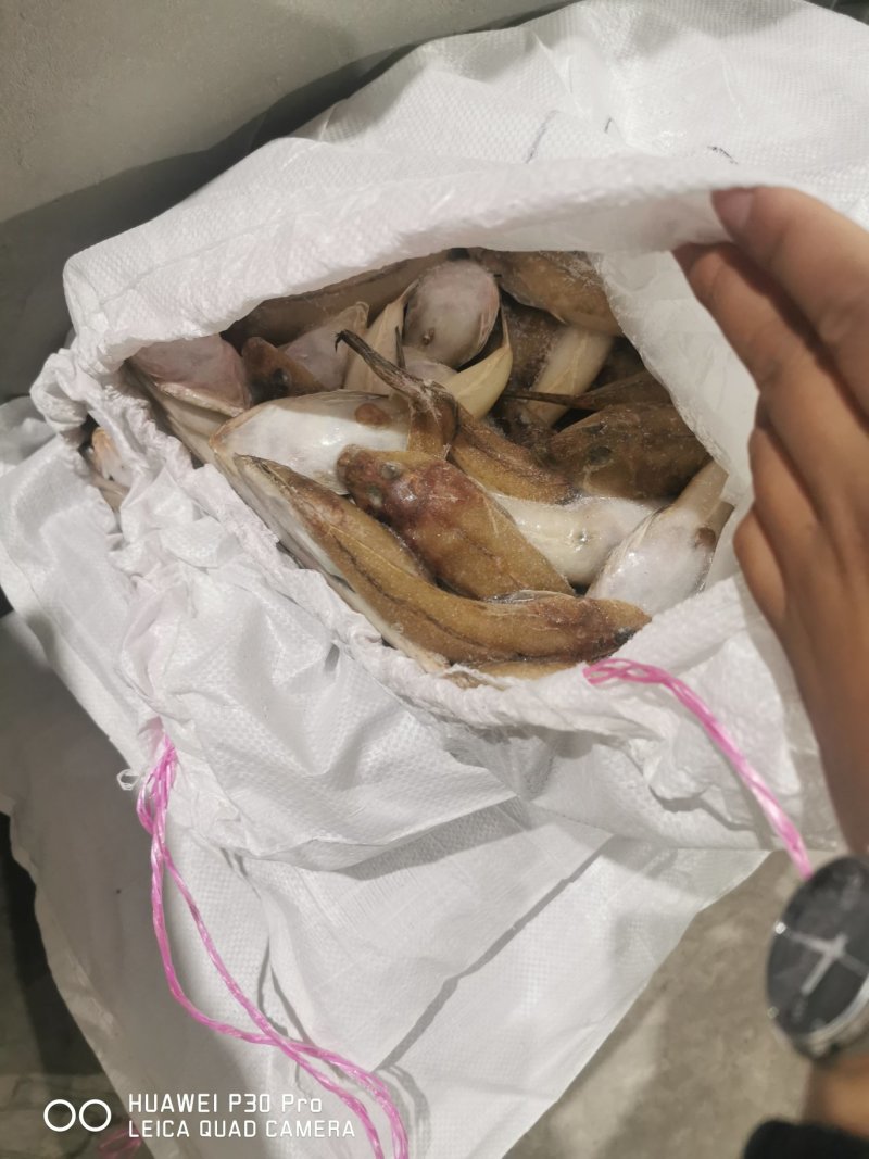 各种罐头料！食用鱼全部有货！