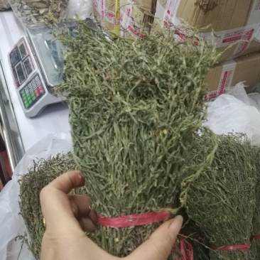独脚金批发。20公分左右青绿