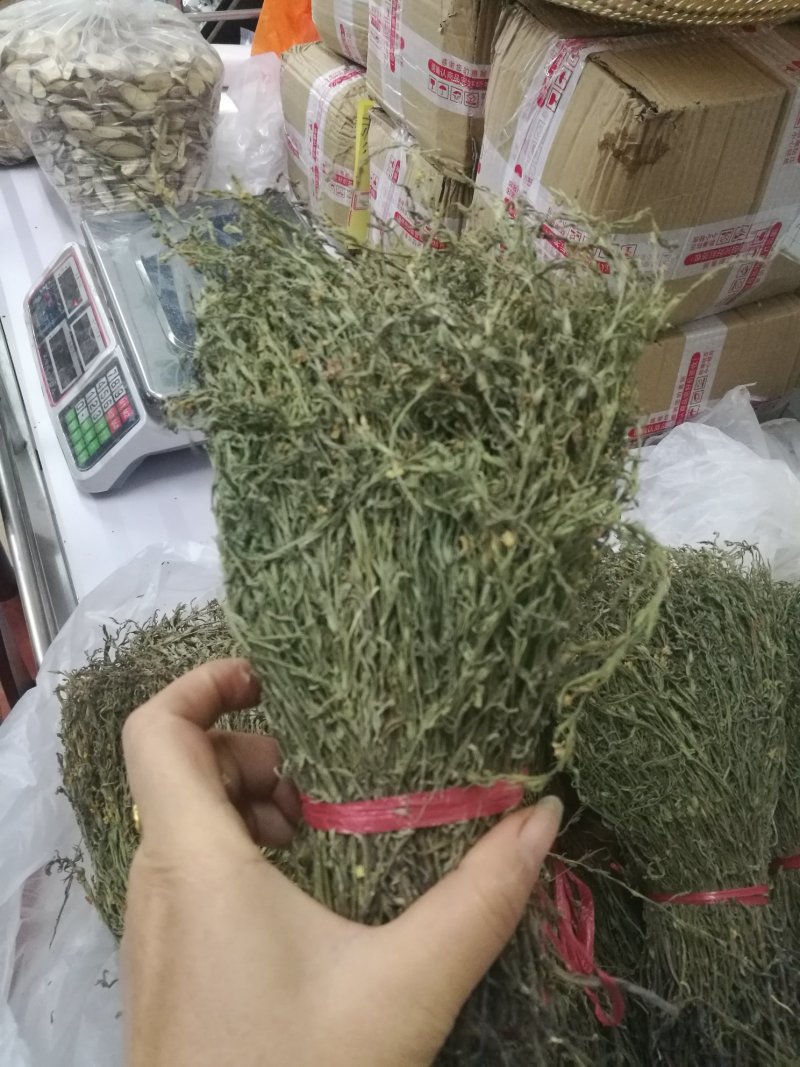 独脚金批发。20公分左右青绿