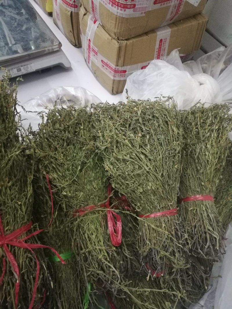 独脚金批发。20公分左右青绿