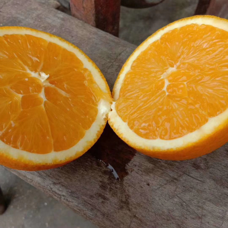 雷波脐橙160包邮20斤装
