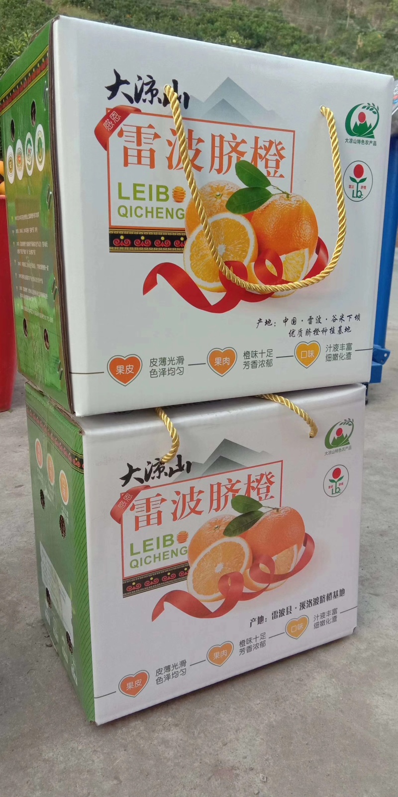 雷波脐橙160包邮20斤装