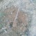 梨树2~4cm2.5~3米