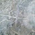 梨树2~4cm2.5~3米