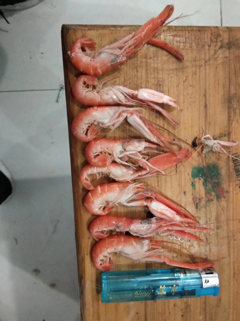 批发草虾