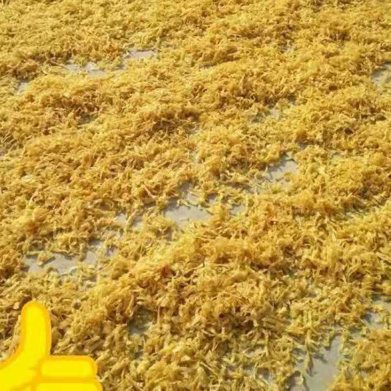 豆花豆皮丝豆皮豆制品豆皮丝，素牛排，厂家直销