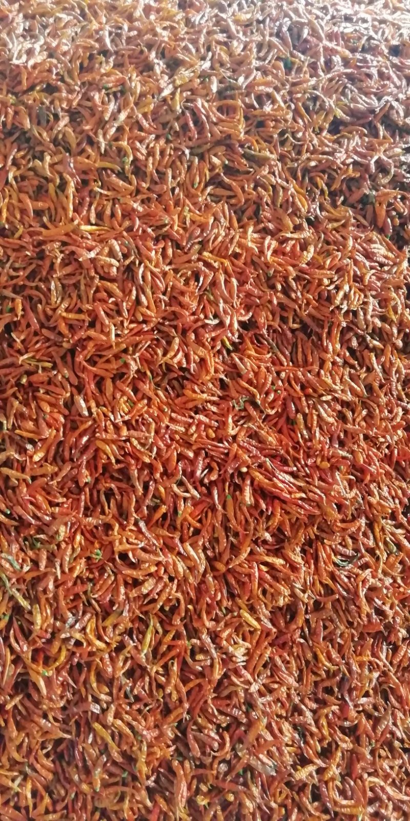 干辣椒，朝天椒，二黄二红干辣椒产地直发量大优惠欢迎下单咨询