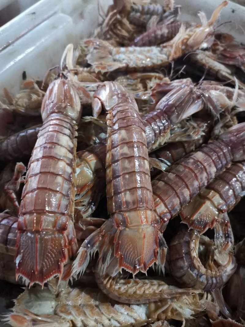 一手皮皮虾