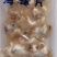 特别好的海螺片质量可以保证