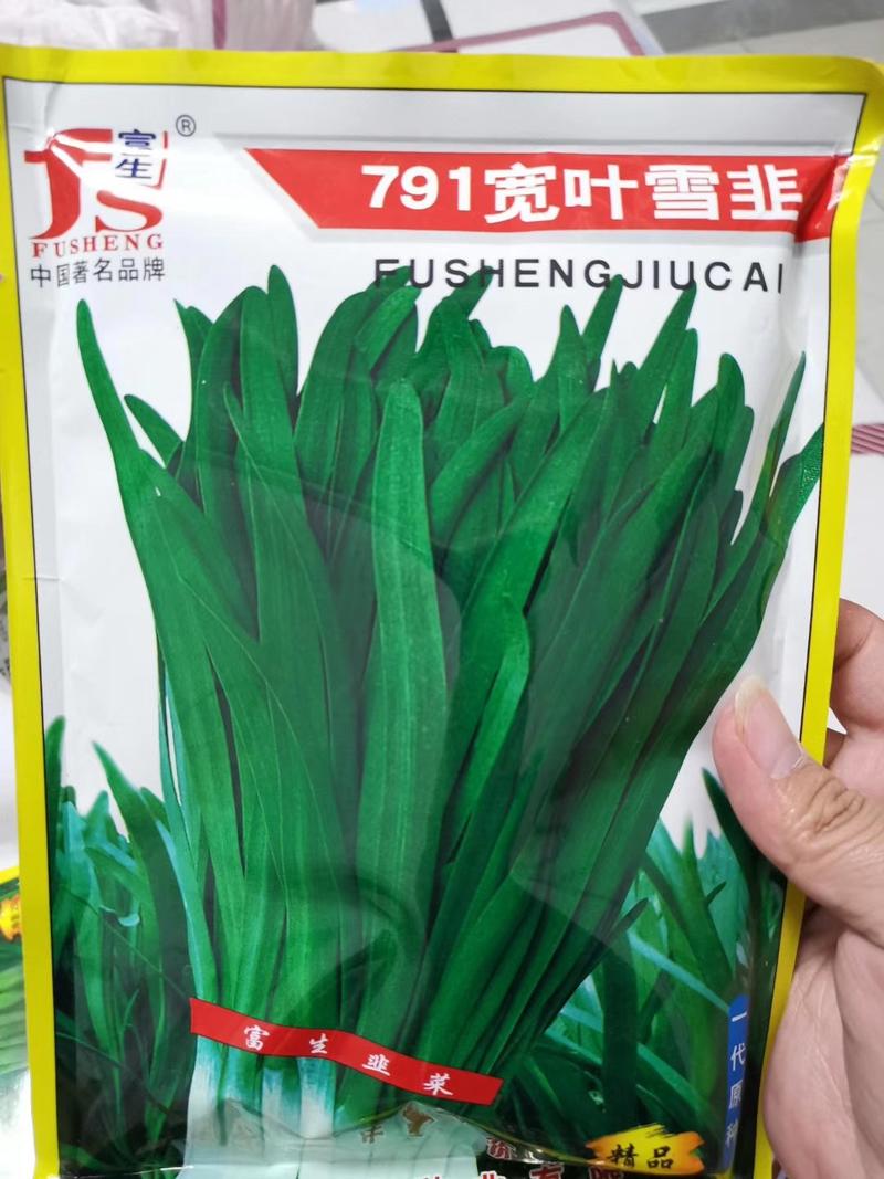 韭菜种子791宽叶雪韭叶色绿厚耐寒抗病品质佳好吃