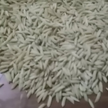 出售水稻