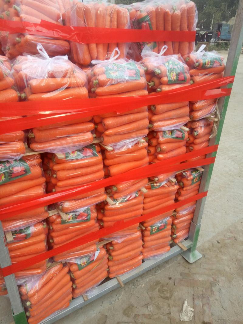 水洗胡萝卜一手货源批发品质保证价格美丽量大从优