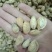 新疆沙车干巴旦木，纸皮，味道很好，