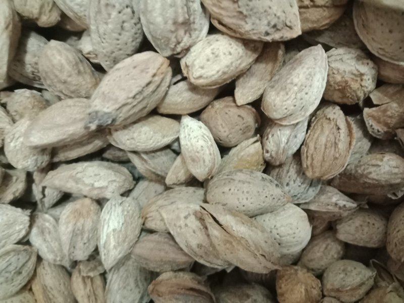 新疆沙车干巴旦木，纸皮，味道很好，