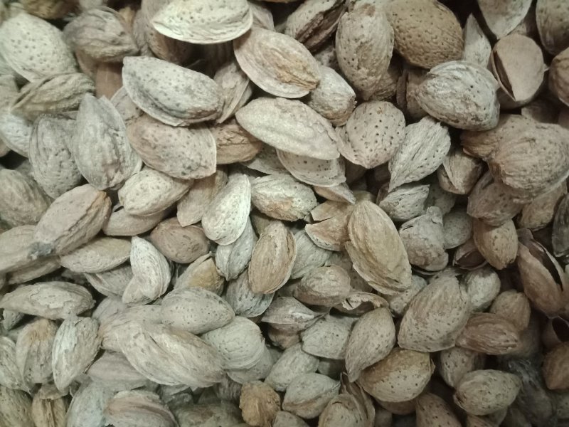 新疆沙车干巴旦木，纸皮，味道很好，