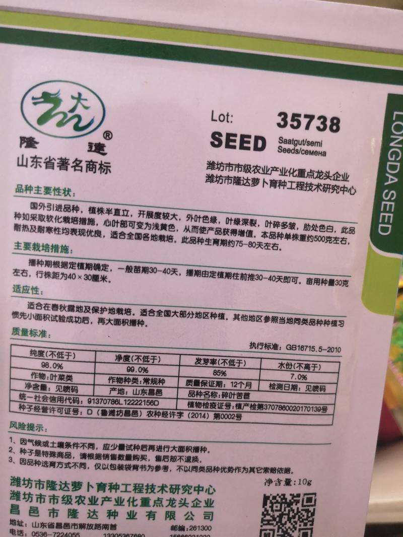 苦苣种子苦菊种子国外引进品种10克